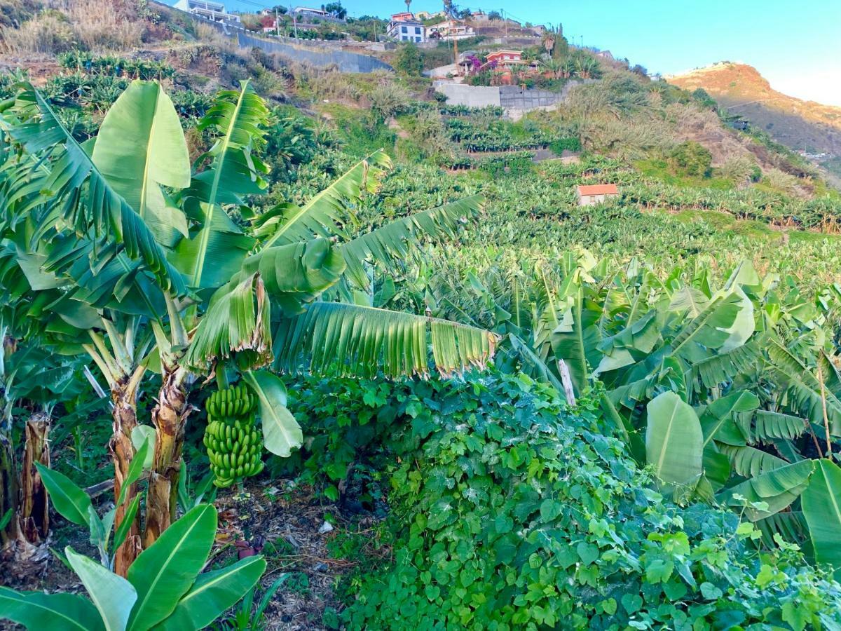 Villa Felicidade Arco da Calheta  Esterno foto